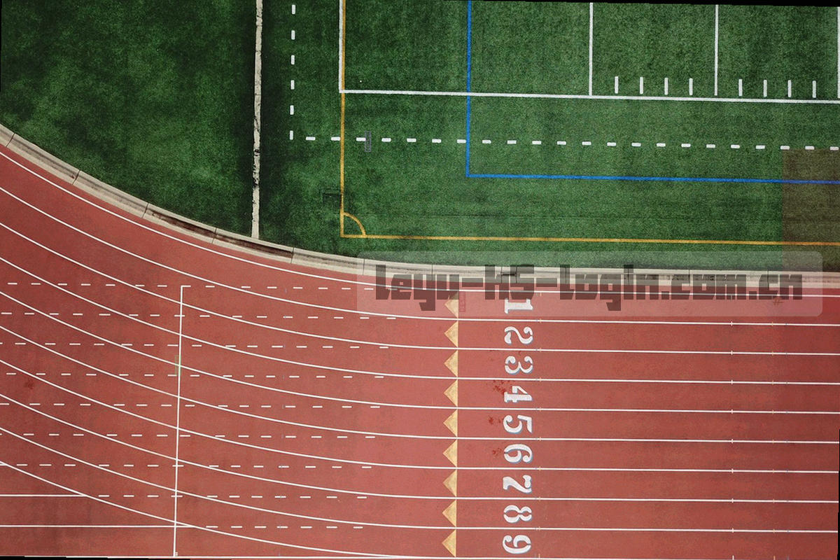 档案柜与索引卡盒的俯拍特写，标签排列整齐，无人物